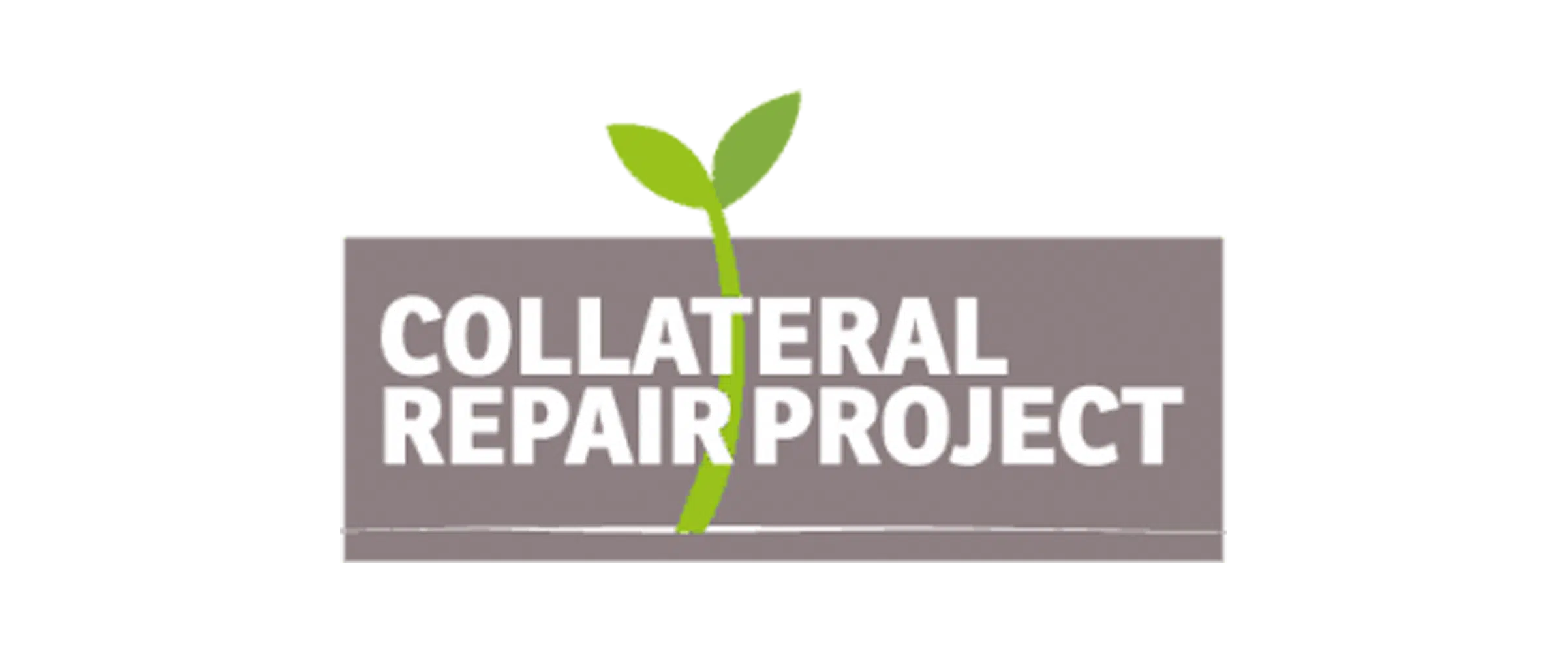 Collateral-Repair-Project_Logo.png