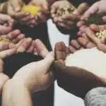 Importance of Charity in Islam