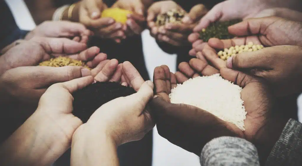 Importance of Charity in Islam